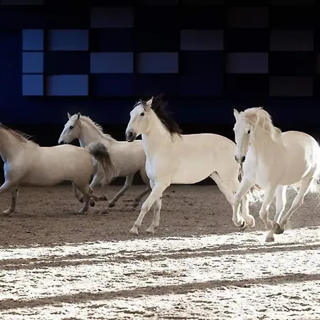 Synergy Deluxe Apartament