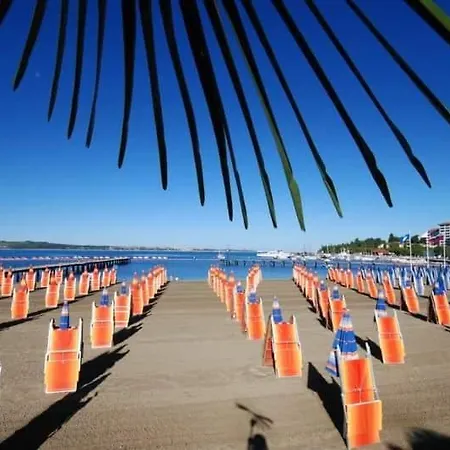 Synergy Deluxe Apartament *