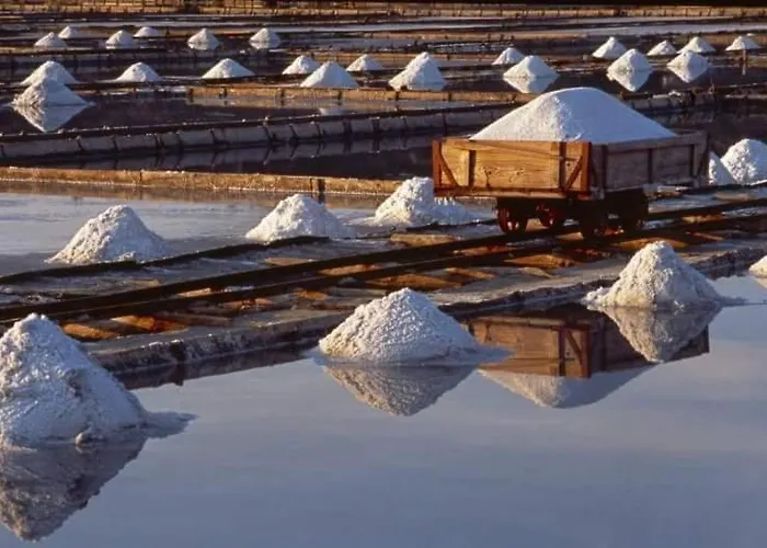 Synergy Deluxe * Sečovlje