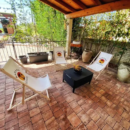 Synergy Deluxe Сечовле