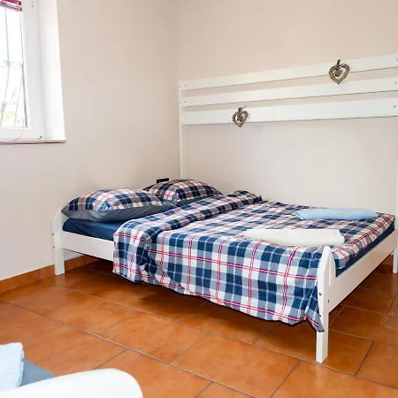 Synergy Deluxe Сечовле