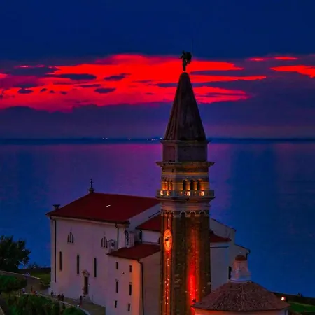 Apartman Synergy Deluxe