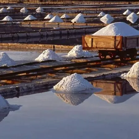 Synergy Deluxe * Сечовле