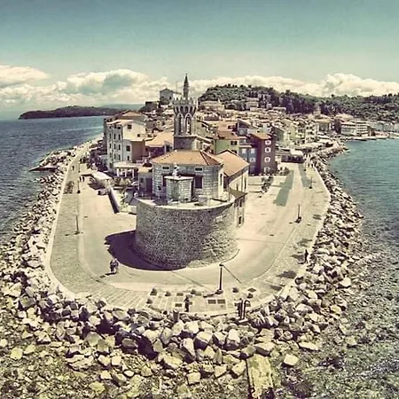 Апартаменты Synergy Deluxe Сечовле