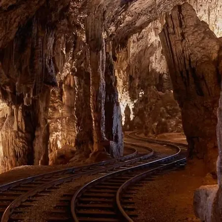 Synergy Deluxe Апартаменты