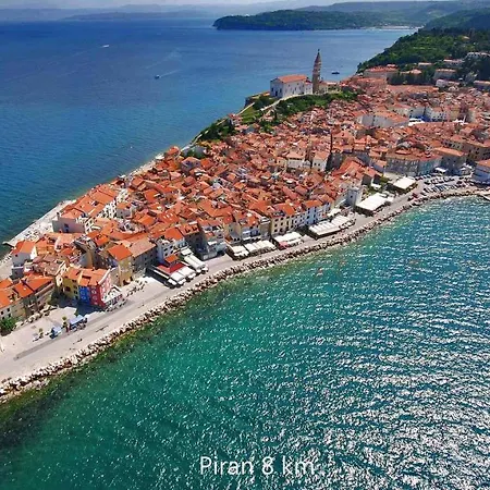 Synergy Deluxe Апартаменты