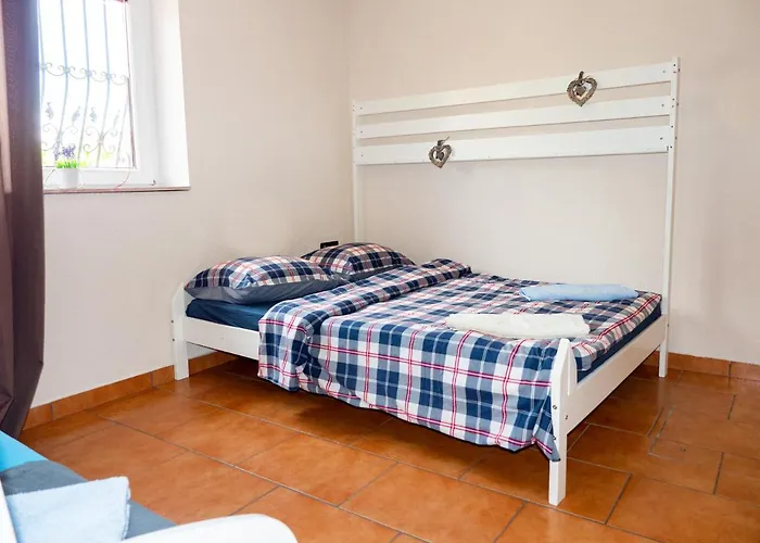 Synergy Deluxe Sečovlje