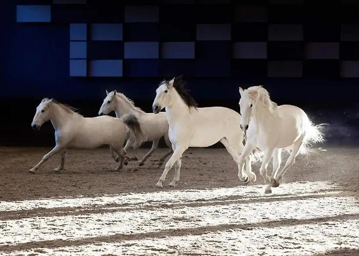 Synergy Deluxe 아파트